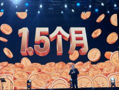 金牌打工人王自如，跳上雷鸟AR的火箭